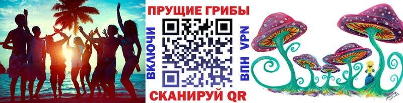 купить наркотики цена  Вилючинск  Псилоцибиновые грибы MAGIC MUSHROOMS 